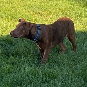 Meet your Posher, Laura